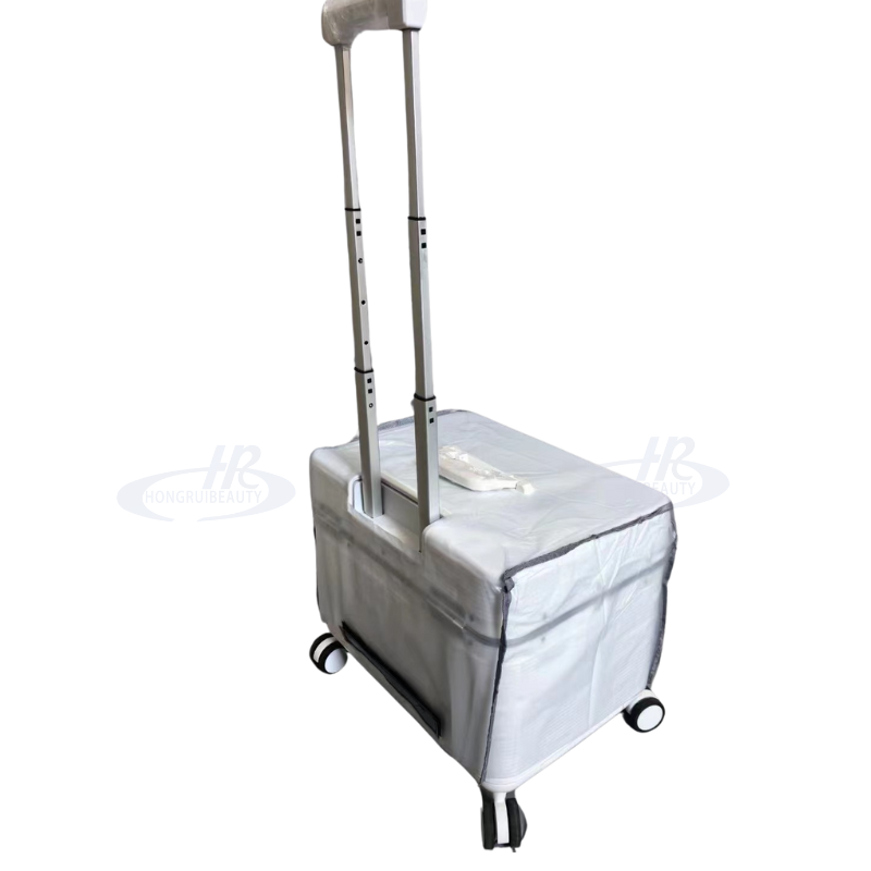 1000W Portable Laser Tattoo Removal Eyebrow Pigment Removal Beauty Machine