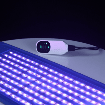 Portable PDT LED Light Therapy Skin Rejuvenation Photodynamic Treatment Lamp 7 Colors Photon Facial Beauty Salon Spa Machine hongruibeauty
