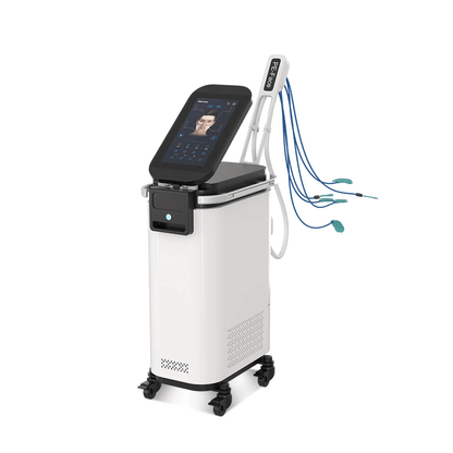 4 in 1 PE-Face EMS RF Magnetic Pulse Face Lift Machine hongruibeauty