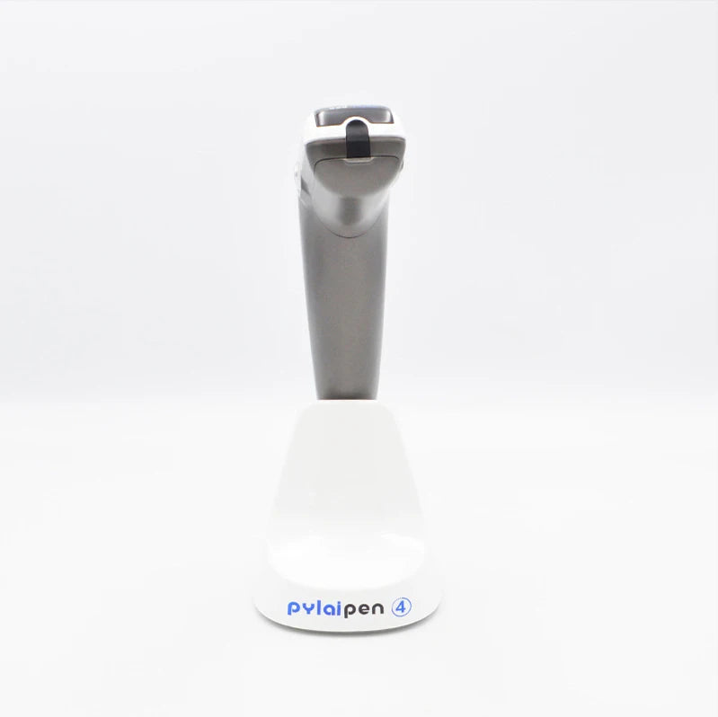 Dermapen Skin Care Electric Micro Pen Needling Cellulite Roller Stamp Portable DM4 Needling Microneedling System